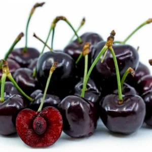2 Black Cherry Trees Live Plant, 1-2 Feet Tall, Sweet Cherry Plants Live, Fruit Tree Bareroots