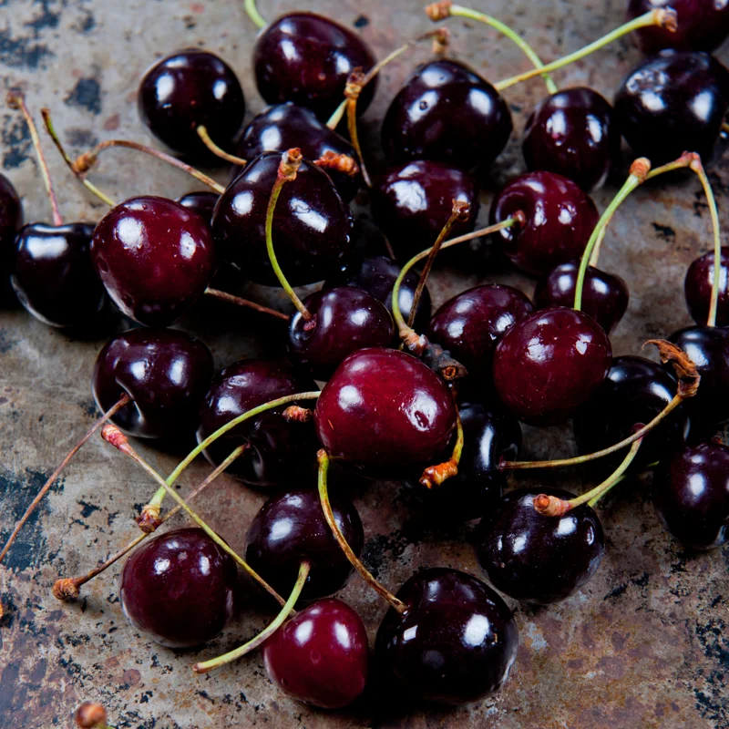 2 Black Cherry Trees Live Plant, 1-2 Feet Tall, Sweet Cherry Plants Live, Fruit Tree Bareroots