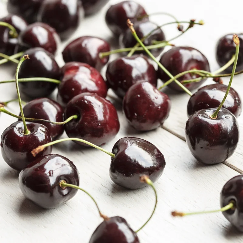 2 Black Cherry Trees Live Bareroot, Sweet Cherry Plants Live, 1-2 Feet Tall, Ready for Outdoor Planting