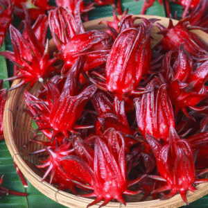 2 Roselle Hibiscus Plants Live, Hibiscus Sabdariffa Live Plant, Size 4-8 Inch Tall, Jamaican Sorrel Cranberry Hibiscus Flowers, In 4 Inc Pot