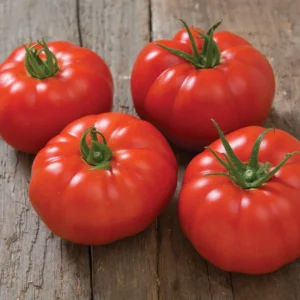 100 Heirloom Tomato Seeds for Planting Outdoors, Garden Vegetable Seeds - Beefsteak Tomato