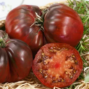 50 Heirloom Tomato Seeds for Planting Outdoors, Garden Vegetable Seeds - Cherokee Purple Tomato