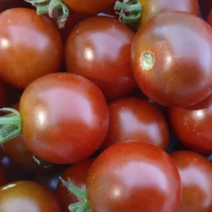 50 Heirloom Tomato Seeds for Planting Outdoors, Garden Vegetable Seeds - Black Cherry Tomato