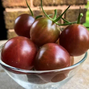 50 Heirloom Tomato Seeds for Planting Outdoors, Garden Vegetable Seeds - Black Cherry Tomato
