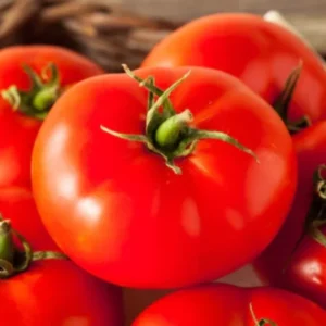 Set of 4 Beefsteak Tomato Plants - 6 to 10 Inches Tall, Tomato Tree Plant , Live Tomato Plants for Garden, High-Yielding, 60+ Days Old