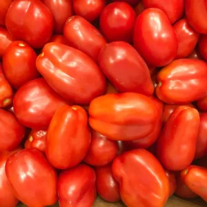 San Marzano Tomato Plants - Lot 4 Plants, 6