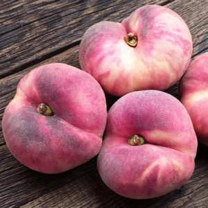 Peach Tree Live Plant, Donut Peach Tree Plant, Peach Tree Live From 2 Feet Height Potted For Growing