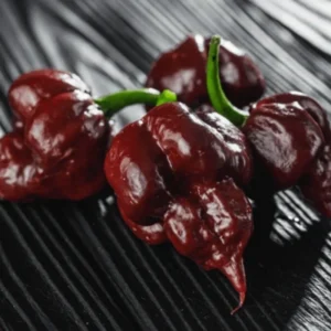 50 Pepper Seeds for Planting Outdoors, High Germination Rate, Non GMO, Heirloom Seeds - Chocolate Carolina Reaper Pepper Seeds