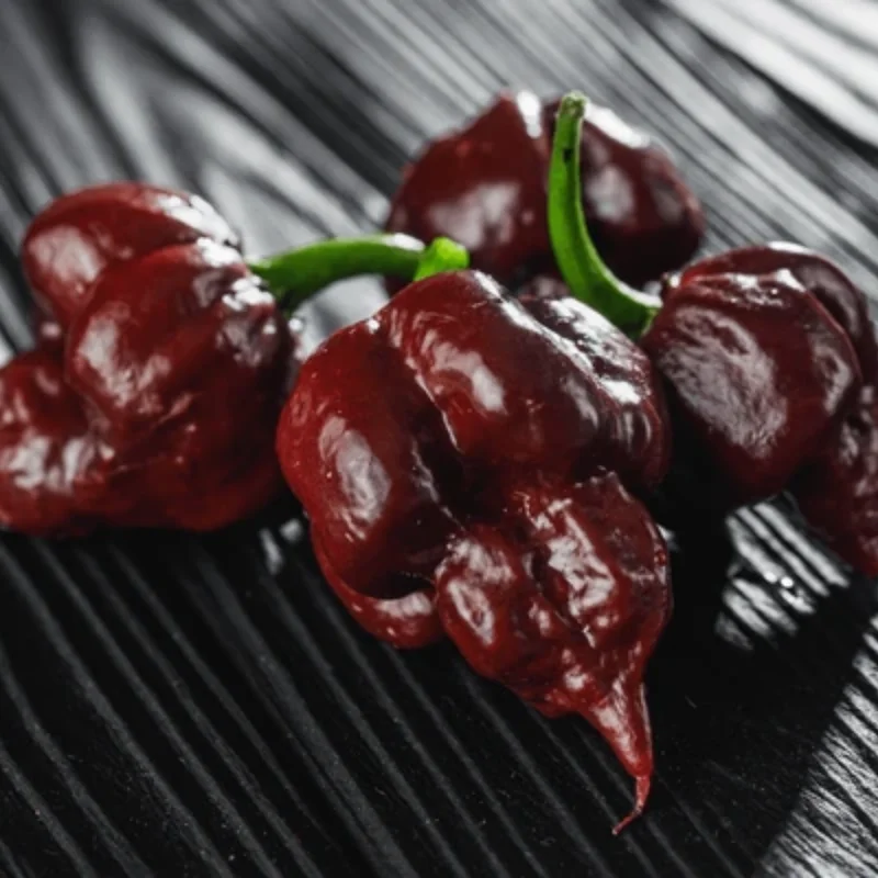 50 Pepper Seeds for Planting Outdoors, High Germination Rate, Non GMO, Heirloom Seeds - Chocolate Carolina Reaper Pepper Seeds