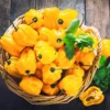100 Pepper Seeds for Planting Outdoors, High Germination Rate, Non GMO, Heirloom Seeds - Yellow Habanero Pepper Seeds
