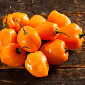 100 Pepper Seeds for Planting Outdoors, High Germination Rate, Non GMO, Heirloom Seeds - Yellow Habanero Pepper Seeds