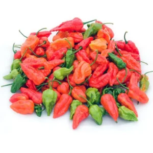 100 Pepper Seeds for Planting Outdoors, High Germination Rate, Non GMO, Heirloom Seeds - Red Bhut Pepper Seeds