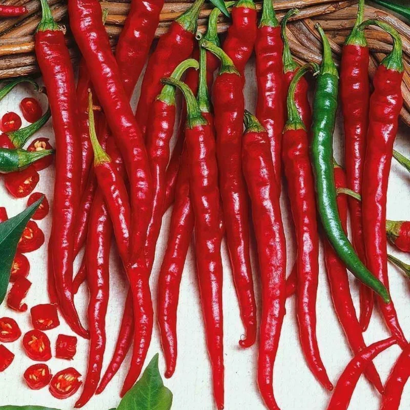 100 Pepper Seeds for Planting Outdoors, High Germination Rate, Non GMO, Heirloom Seeds - Long Thin Red Seeds