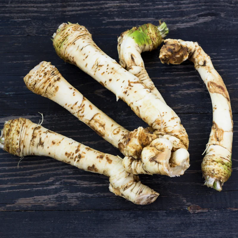 2Lbs Bareroot Horseradish Roots For Planting, Live Horseradish Crown, Sold By Weight