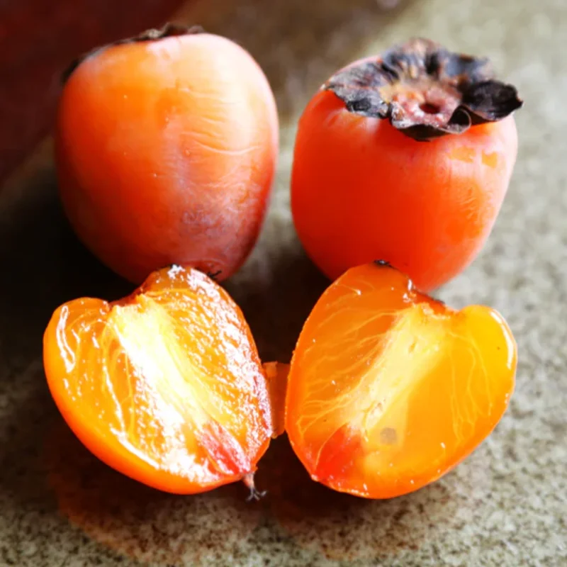 American Persimmon Tree, Potted, Diospyros virginiana American, Persimmons Fruit Trees Live Plants, Hardy Fruit Tree for Zones 4-9