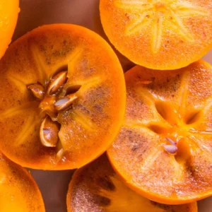 American Persimmon Tree in Pot, Hardy Fruit Tree for Zones 4-9, Persimmon Tree Live Plant, 6 to 12 Inch Tall