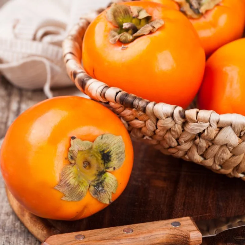 American Persimmon Tree, Potted, Diospyros virginiana American, Persimmons Fruit Trees Live Plants, Hardy Fruit Tree for Zones 4-9