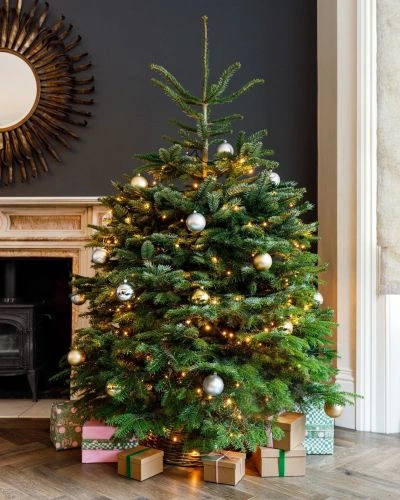 Real Christmas Tree with many ornamental bells