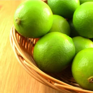 Key Lime Tree Live Plant for Planting, 3 to 4 Inch Tall, Potted, Key Lime Bush, Key Lime Plant, Live Key Lime Tree, Citrus Fruit Tree