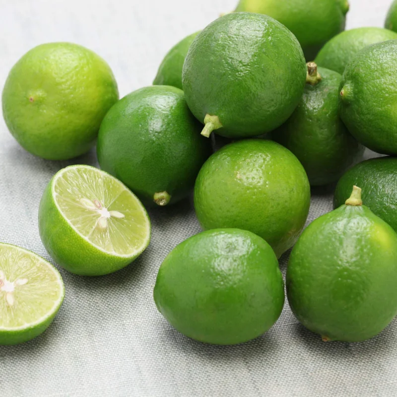 3-4" Tall Key Lime Tree Live Plant, Key Lime Bush, Key Lime Plant, Live Key Lime Tree, Citrus Fruit Tree