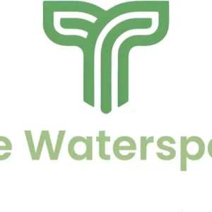 Silver Dollar Cinerea Eucalyptus Live Plant in 4