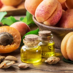 Apricot Trees Live Plants, 3-4 Ft Tall Apricot Fruit Trees for Outdoor Planting, Cold Hardy and Dormant, No Leaf, Fully Rooted