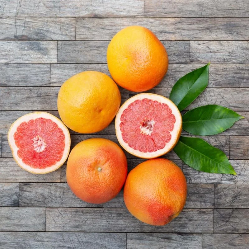 12 to 24 Inch Ruby Red Grapefruit Tree Live Plant in Pot, Pomelo Tree Plant, Well Rooted, Can Not Ship to TX, FL, AZ, CA, LA, HI