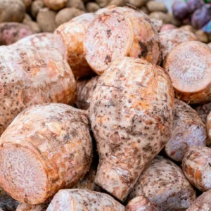 3 Fresh Edible Elephant Ear Taro Bulbs Tuber for Planting, Edible Seeds Bulbs Taro Esculenta Corms, 4 to 6 oz Each Bulbs