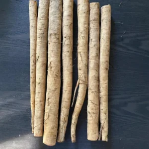 1 Lbs Fresh Burdock Roots For Planting, Live Burdock Tubers Bulbs for Growing Outdoor, Zones 2-10 Cold Hardy