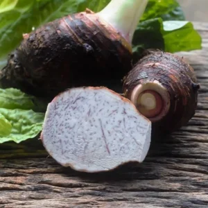 Elephant Ear Taro Bulbs Fresh Edible Yam Tuber for Planting, Edible Seeds Bulbs Taro Esculenta Corms, 2 Lbs for Planting