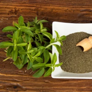 2 Stevia Plants Live, 5-9 Inch Tall, Stevia Seedlings for Indoor Outdoor Planting, Sweet Stevia Herb