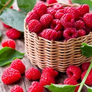 4 Raspberry Plants Live, 5-9 Inch Tall, Raspberry Fruit Trees for Outdoor Growing, Raspberry Seedling