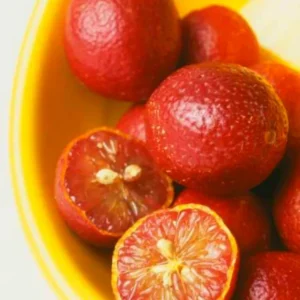 Lime Tree, Red Lime Fruit Tree, Red Lemon Tree, Rare Lemon Tree 2 Feet Height Potted No Ship To CA