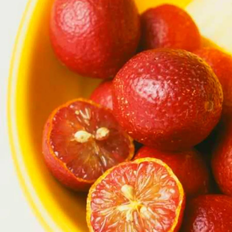 Lime Tree, Red Lime Fruit Tree, Red Lemon Tree, Rare Lemon Tree 2 Feet Height Potted No Ship To CA