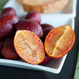 Red Lime Lemon Tree, Red Lime Plant, Lemon Tree Live Plant From 2 Feet Tall Live In Pot For Planting No Ship To CA