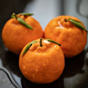 Ponkan Mandarin Tree Live In Pot, Mandarin Plant Live 3 Feet Tall, Tangerine Tree, Outdoor Fruit Tree No Ship To CA