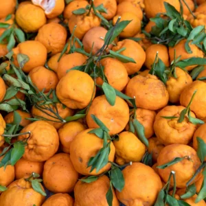 Mandarin Tree Plant Live, Ponkan Mandarin Tree 3 Feet Height, Live Tangerine Tree, Tangerine Plant No Ship To CA