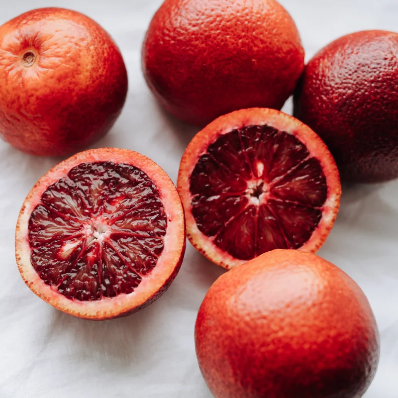 Blood Orange Tree Plant, Blood Orange Tree, Blood Orange Live Plant 3 Feet Tall No Ship To CA