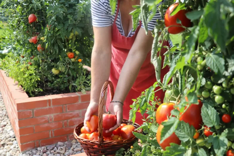 what to plant in march, spring gardening checklist