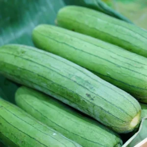 Luffa Plants Live - Potted Vegetable Plants for Garden Planting