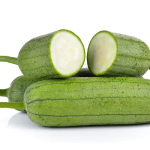 Luffa Gourd Plants For Planting - Potted Live Vegetable Plants 4-6 Inches