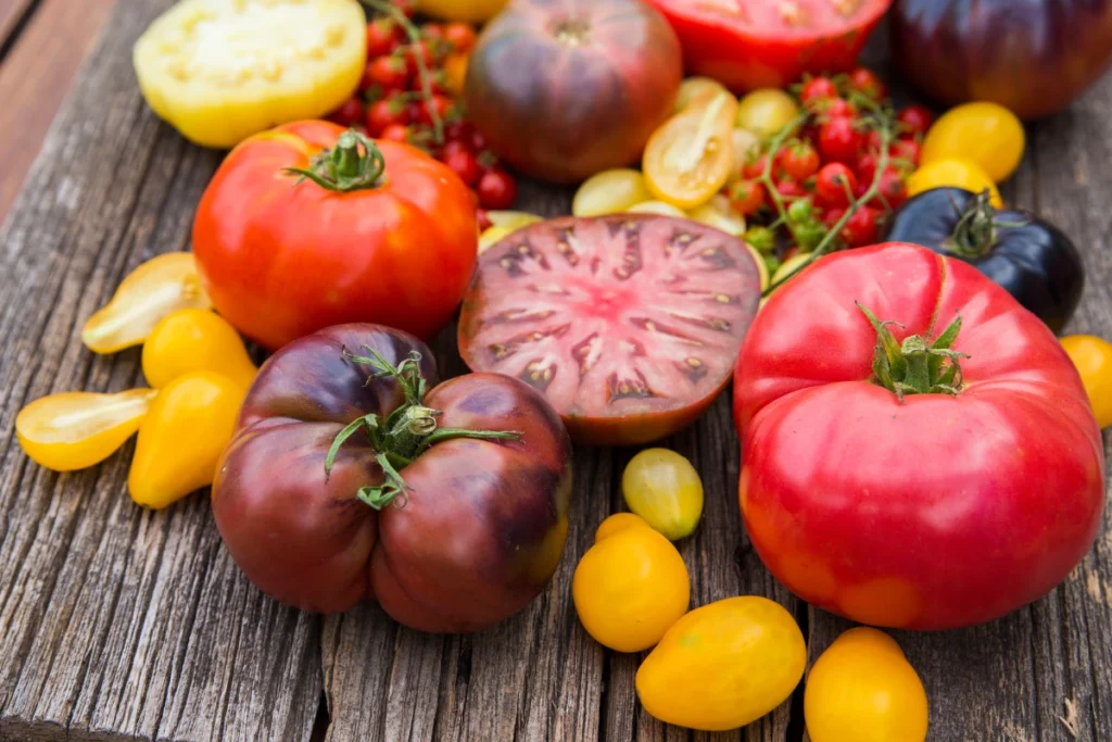 Heirloom Tomatoes, tomato varieties