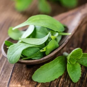 Stevia Mint Herb Plants - Live Sweet Leaf Stevia Plants - 3-5 Inches Tall - Potted Herb