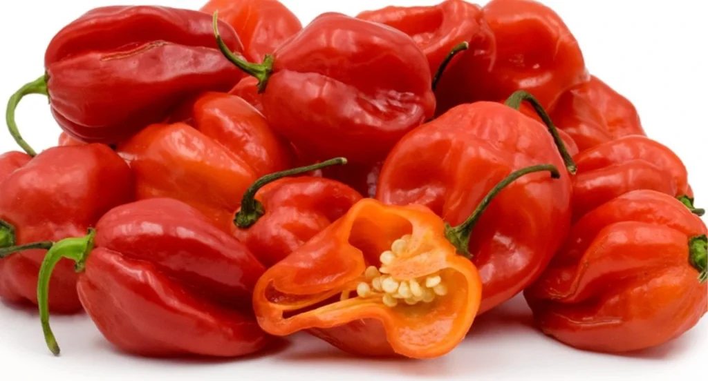 health benefits of scotch bonnet peppers