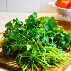 Cilantro Seeds for Planting - Coriander Vegetable Seeds Indoor Outdoor