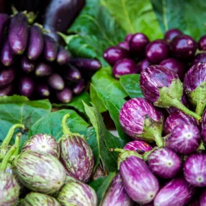 Mix Eggplant Seeds for Planting - White, Purple, Green Vegetable Variety