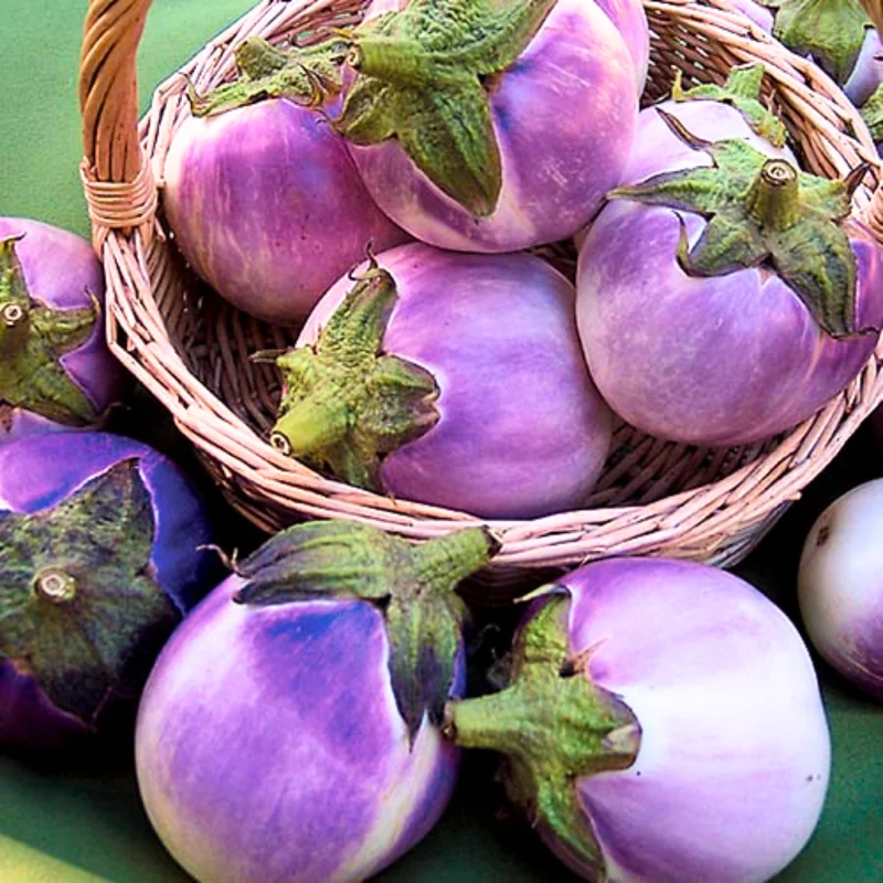 Light Purple Eggplant Seeds - Round Variety for Home Garden