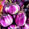 Light Purple Eggplant Seeds - Round Variety for Home Garden