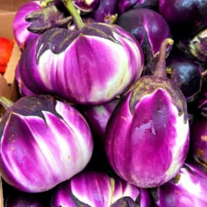 Light Purple Eggplant Seeds - Round Variety for Home Garden