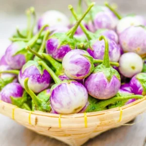 Light Purple Eggplant Seeds - Round Variety for Home Garden
